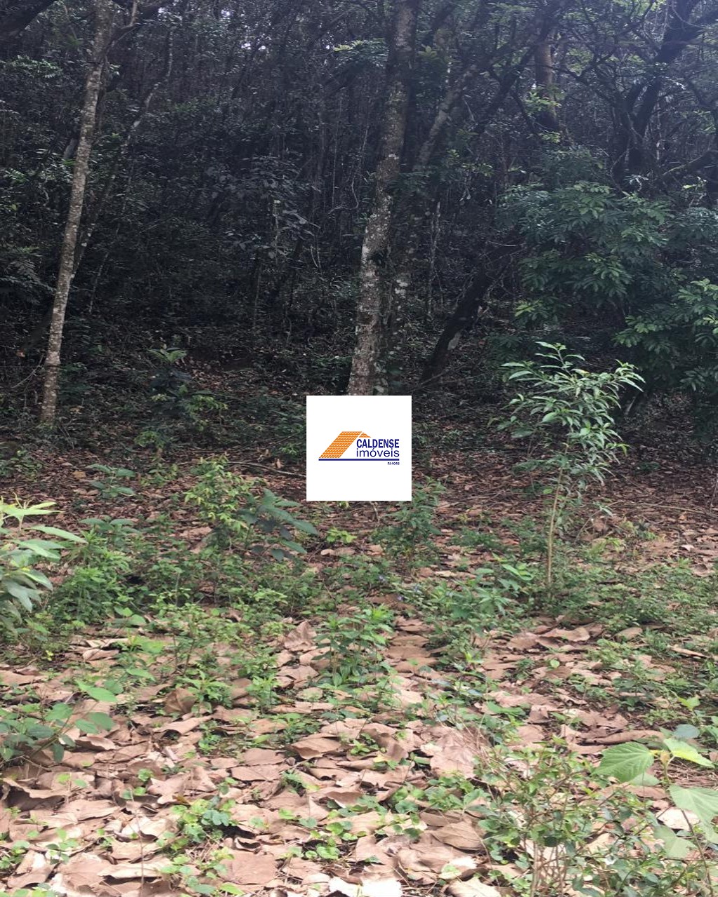 Terreno, 1300 m² - Foto 3