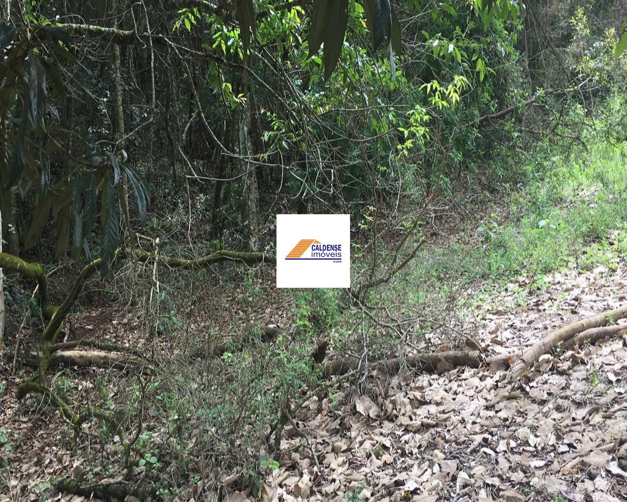 Terreno, 1300 m² - Foto 5