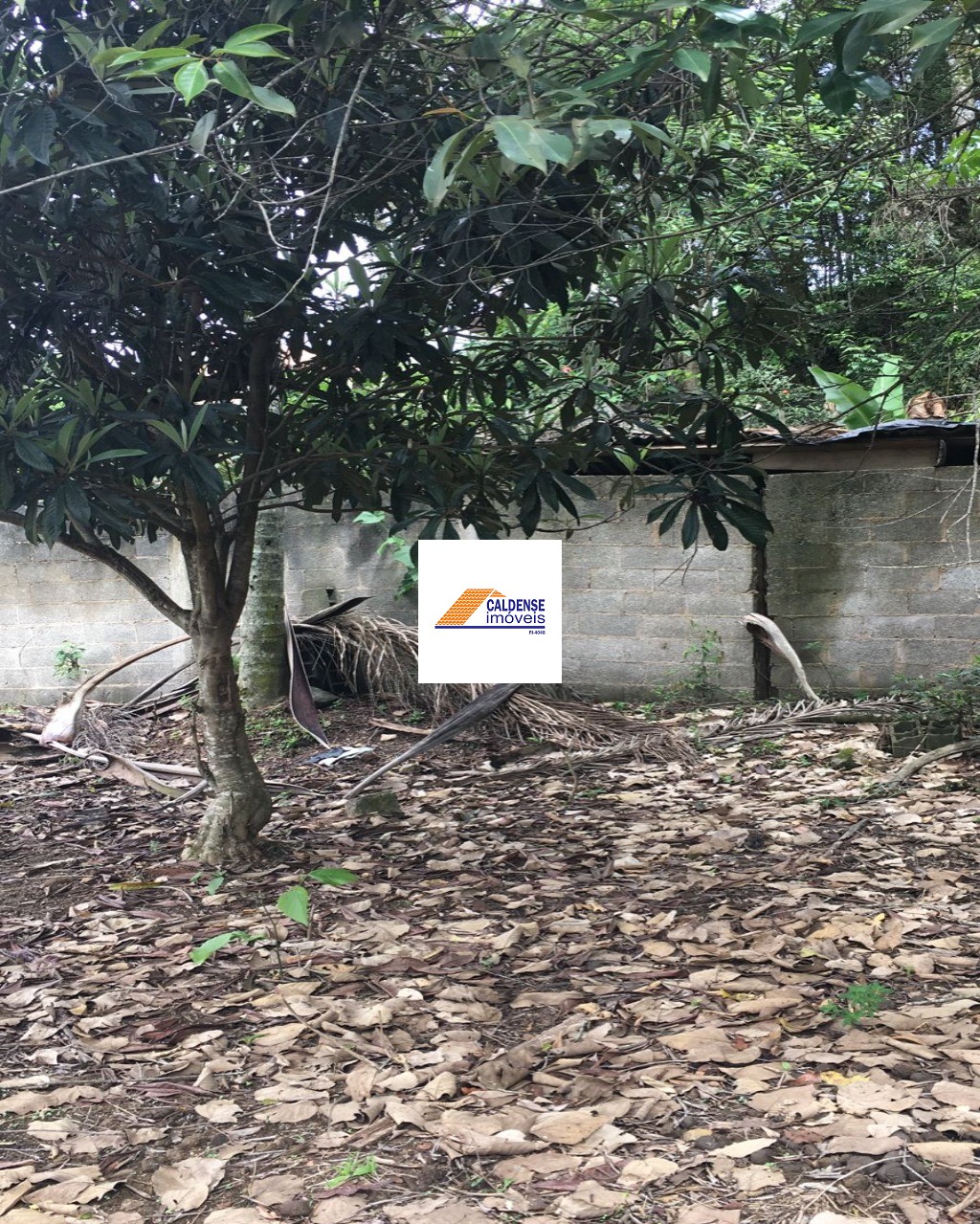 Terreno, 1300 m² - Foto 6