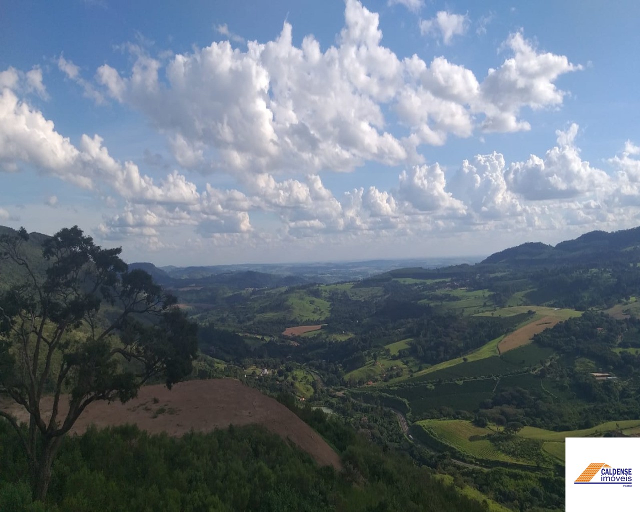 Chácara - Foto 6