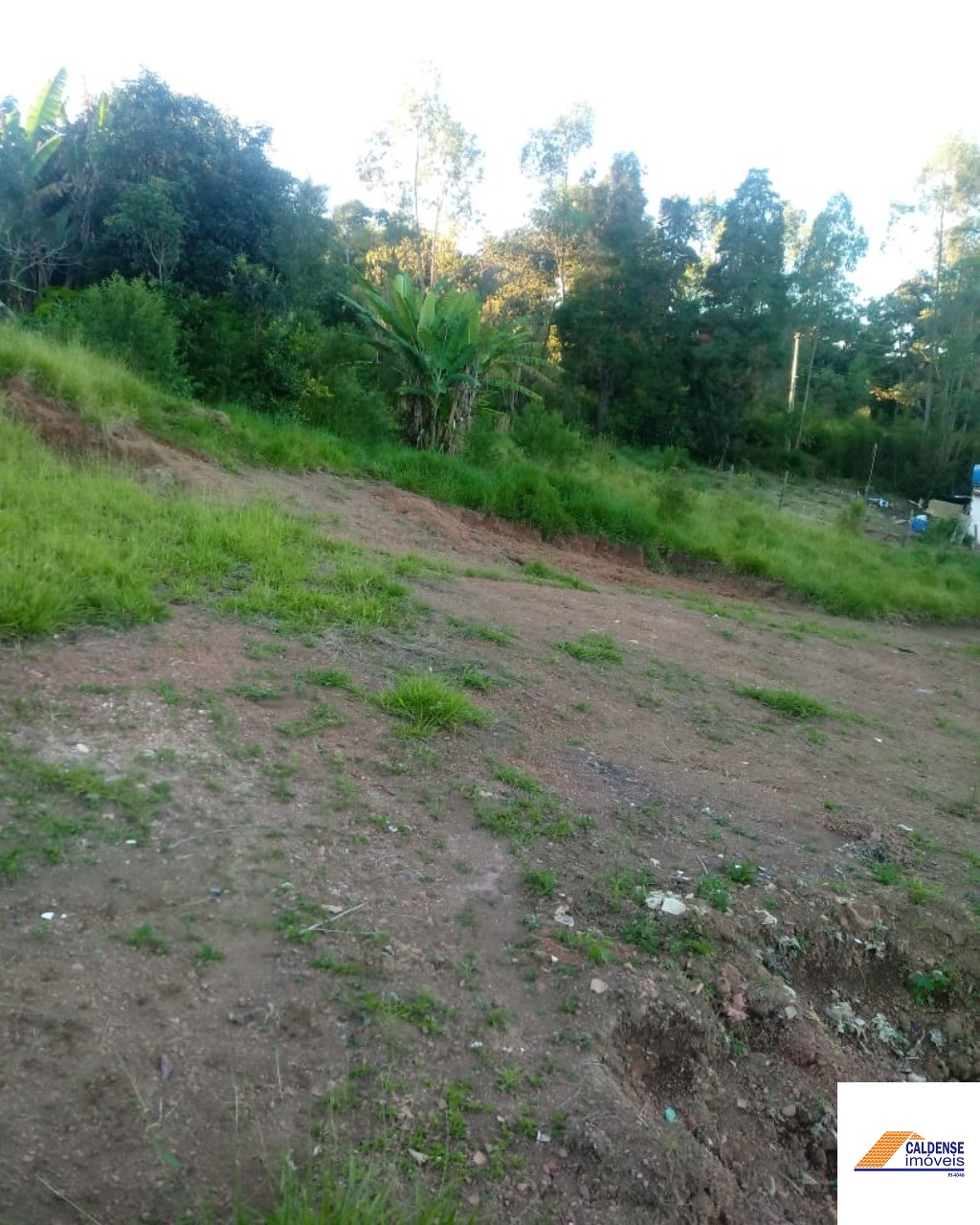 Terreno, 5650 m² - Foto 8