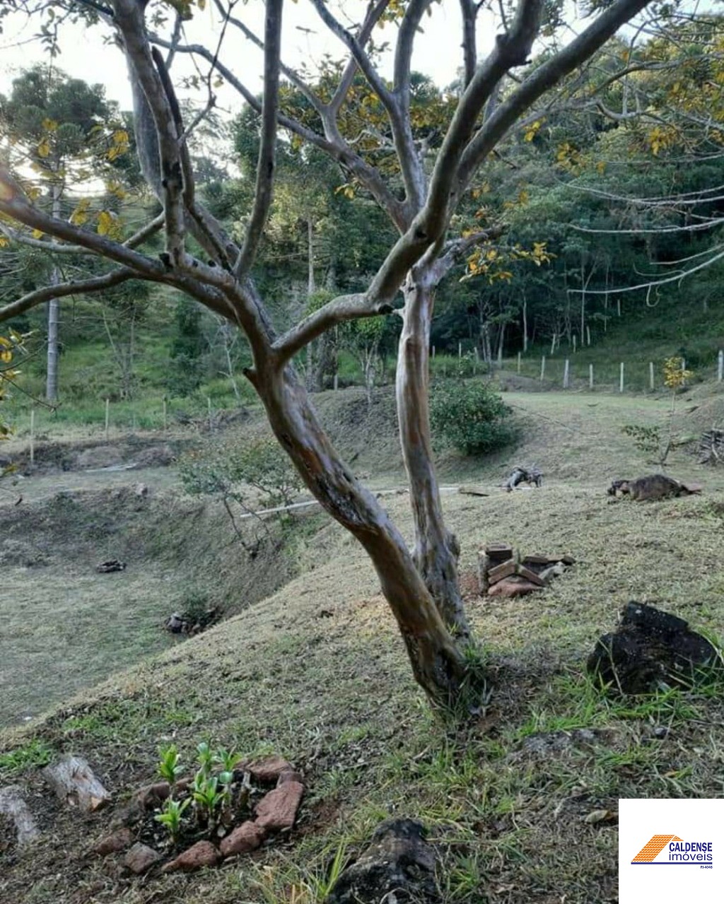 Chácara, 3 quartos - Foto 14