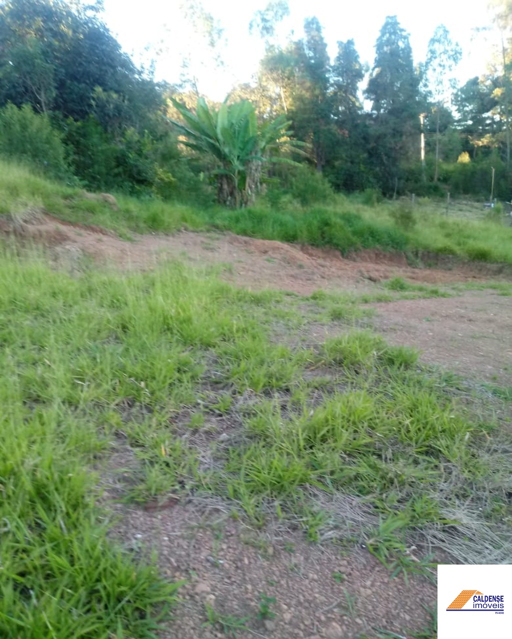 Terreno, 5650 m² - Foto 9