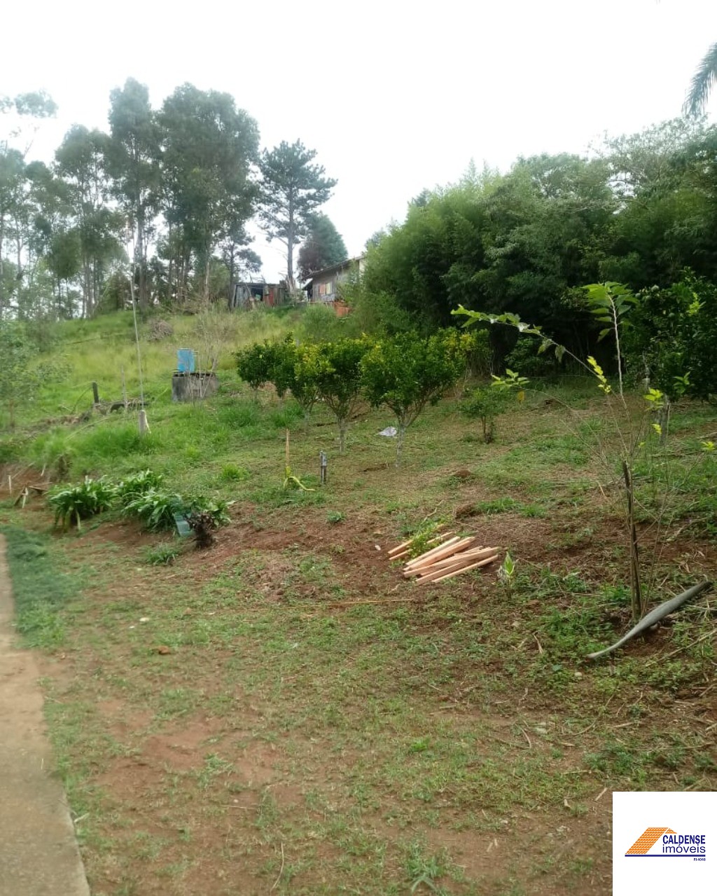 Terreno, 5650 m² - Foto 7