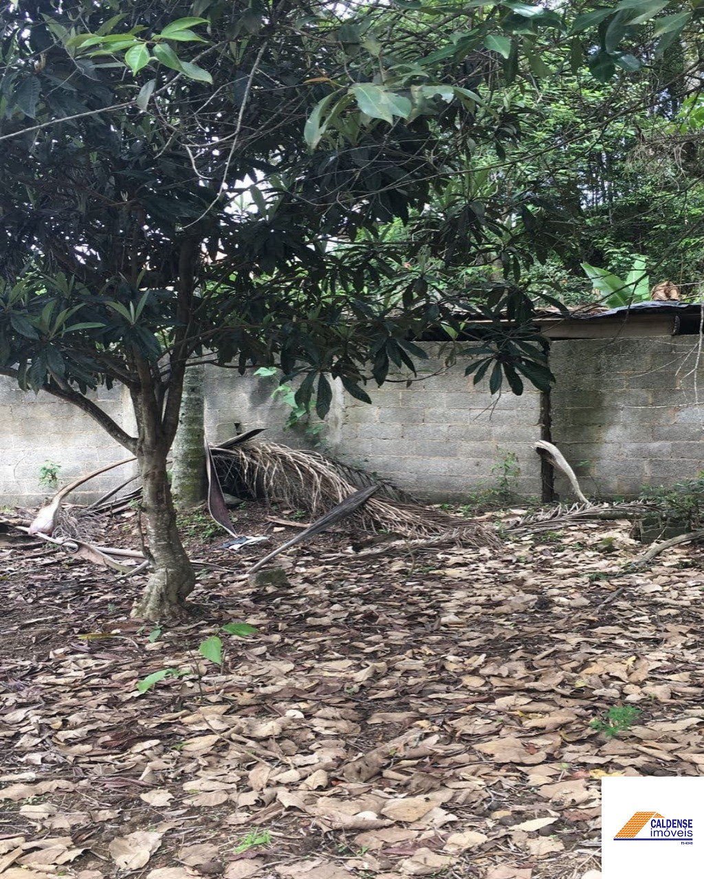 Terreno, 1300 m² - Foto 9