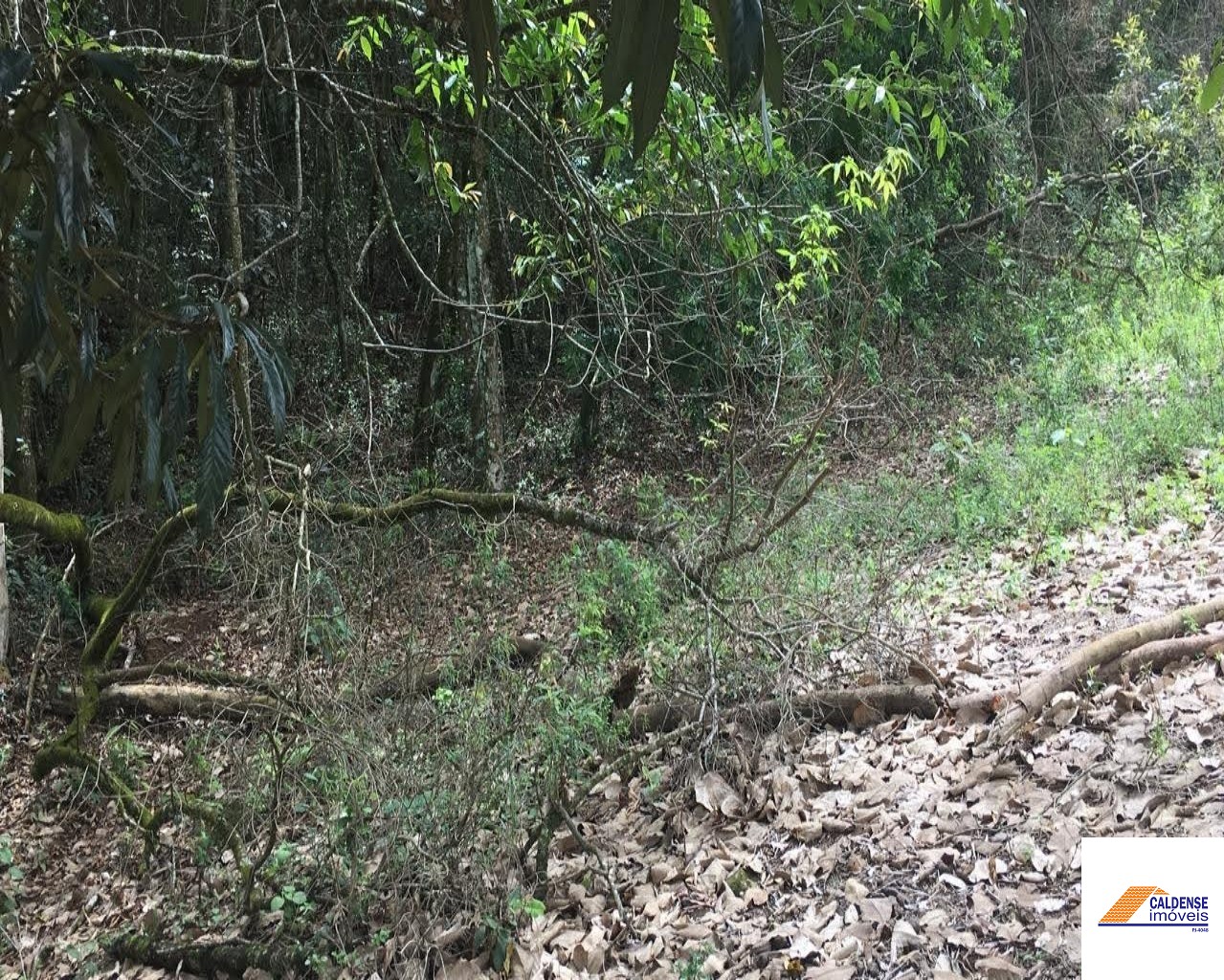 Terreno, 1300 m² - Foto 10