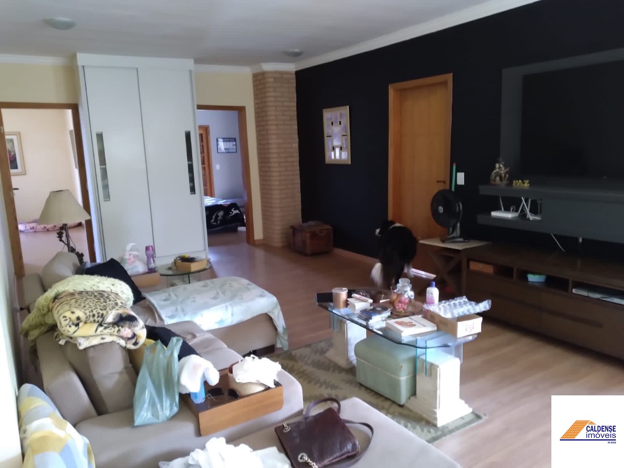 Casa, 5 quartos, 480 m² - Foto 17
