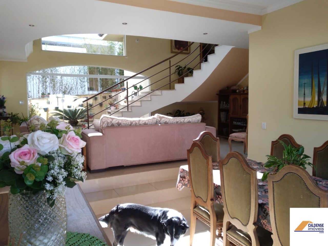Casa, 5 quartos, 480 m² - Foto 6