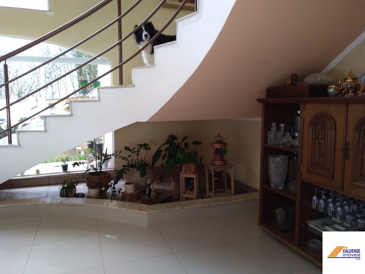 Casa, 5 quartos, 480 m² - Foto 15