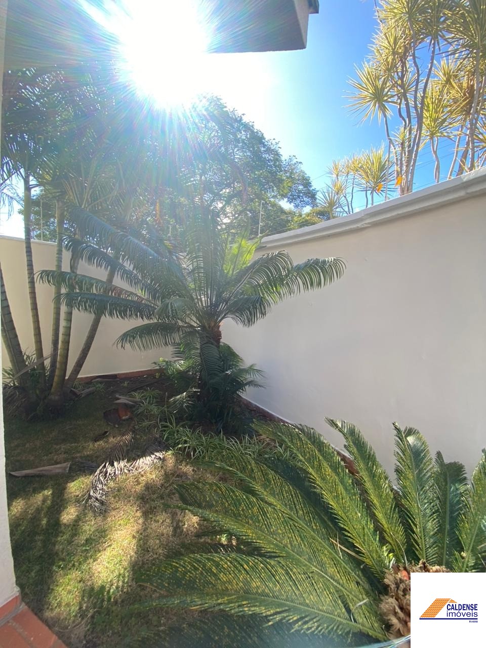 Casa, 4 quartos, 430 m² - Foto 13