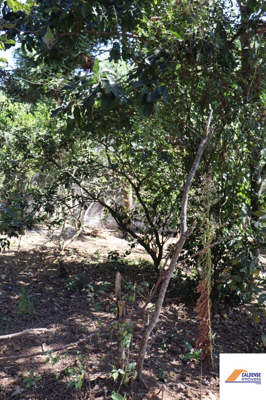 Chácara, 3 quartos - Foto 22