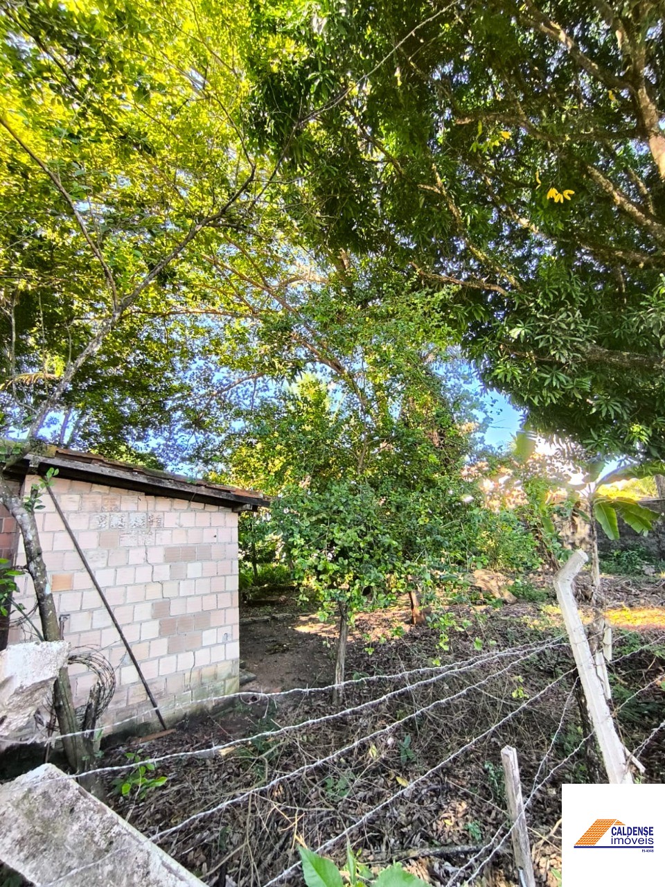 Terreno - Foto 4