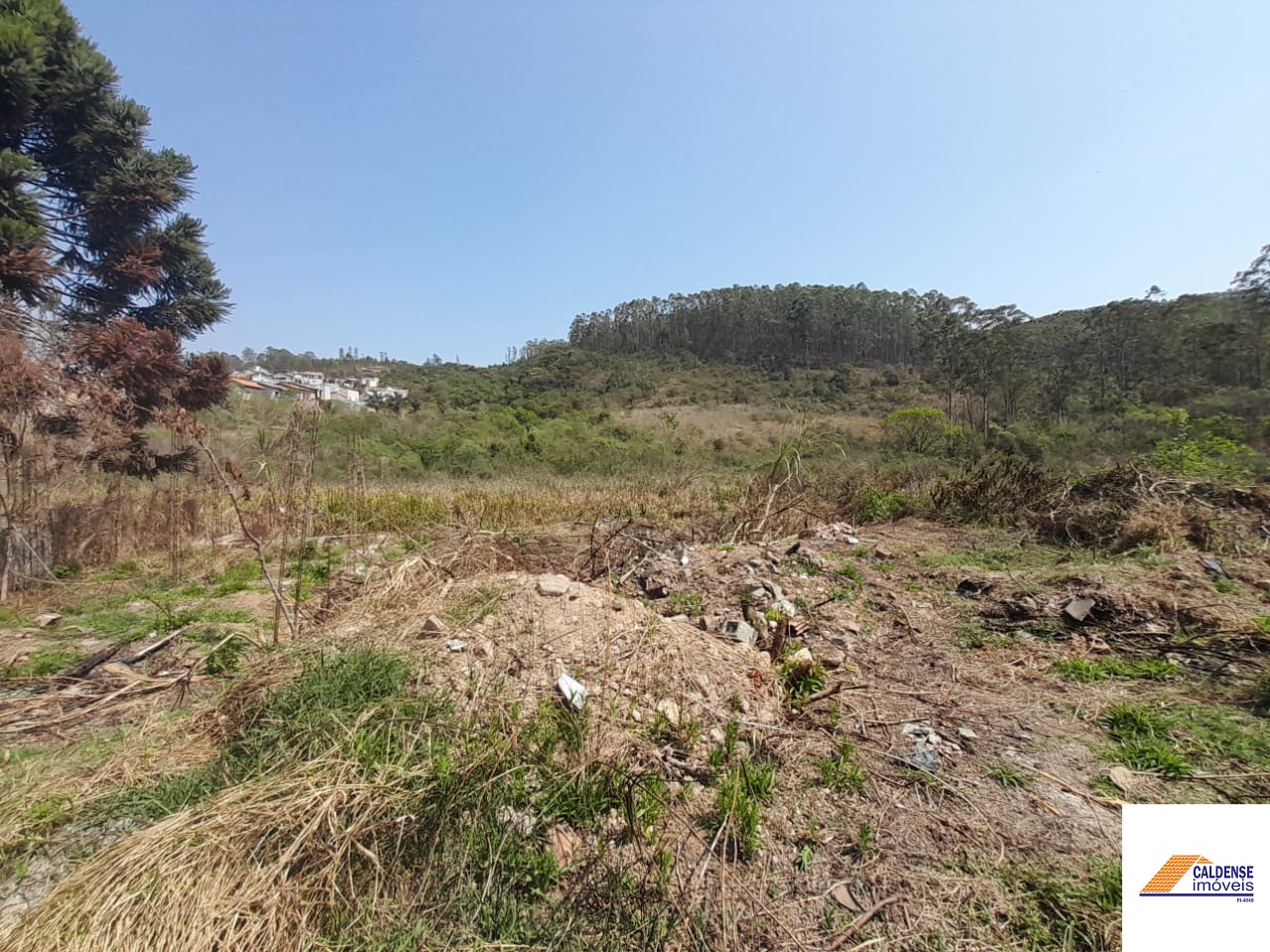 Terreno, 2 hectares - Foto 14