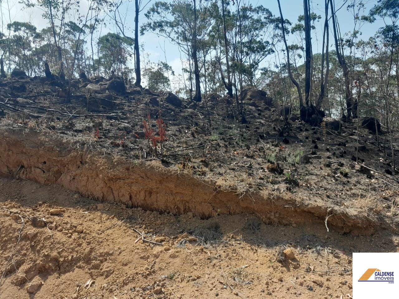 Terreno, 2 hectares - Foto 8