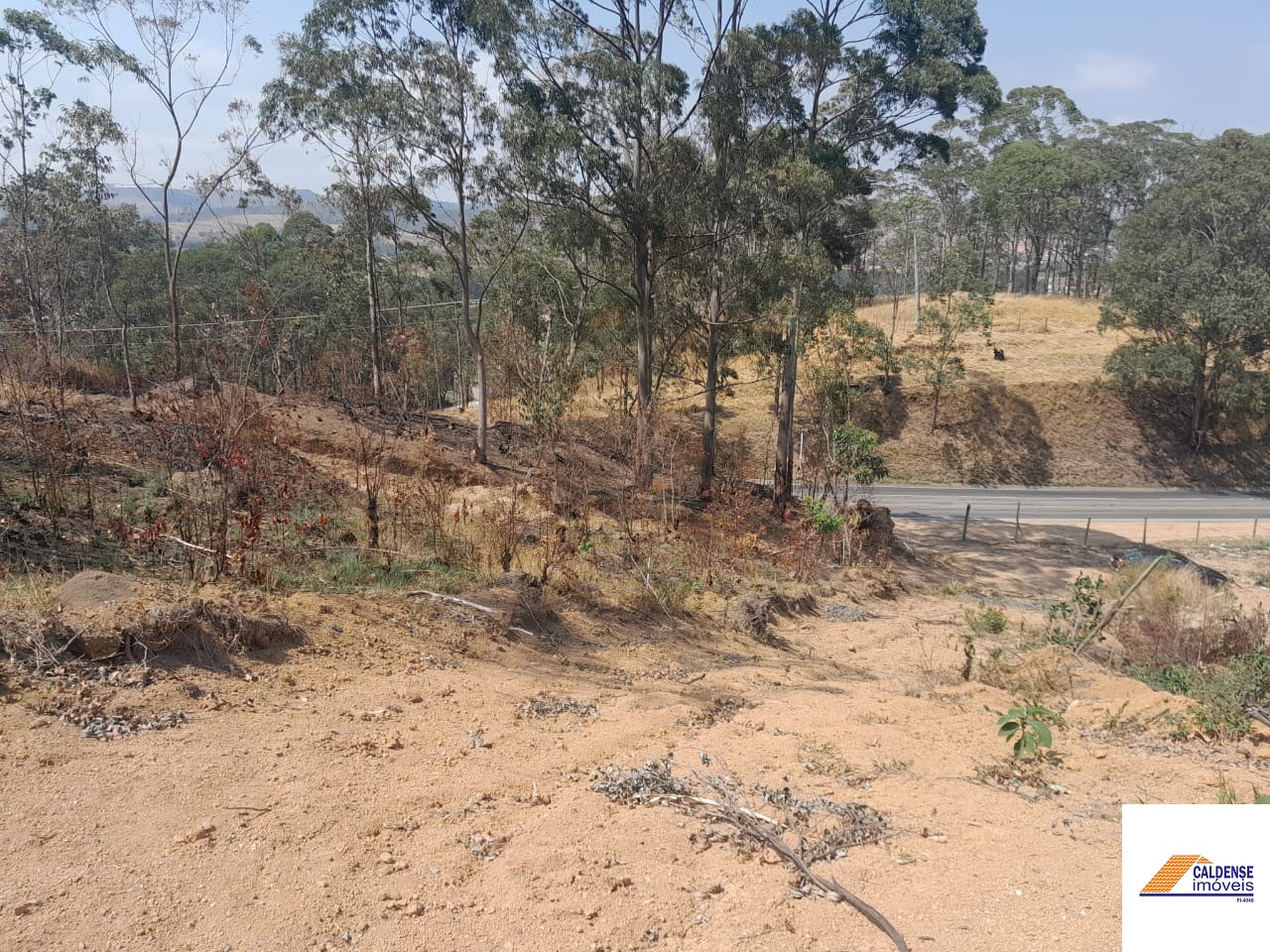 Terreno, 2 hectares - Foto 10