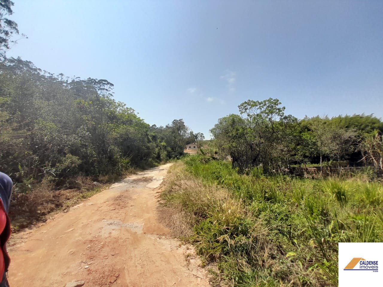 Terreno, 2 hectares - Foto 16