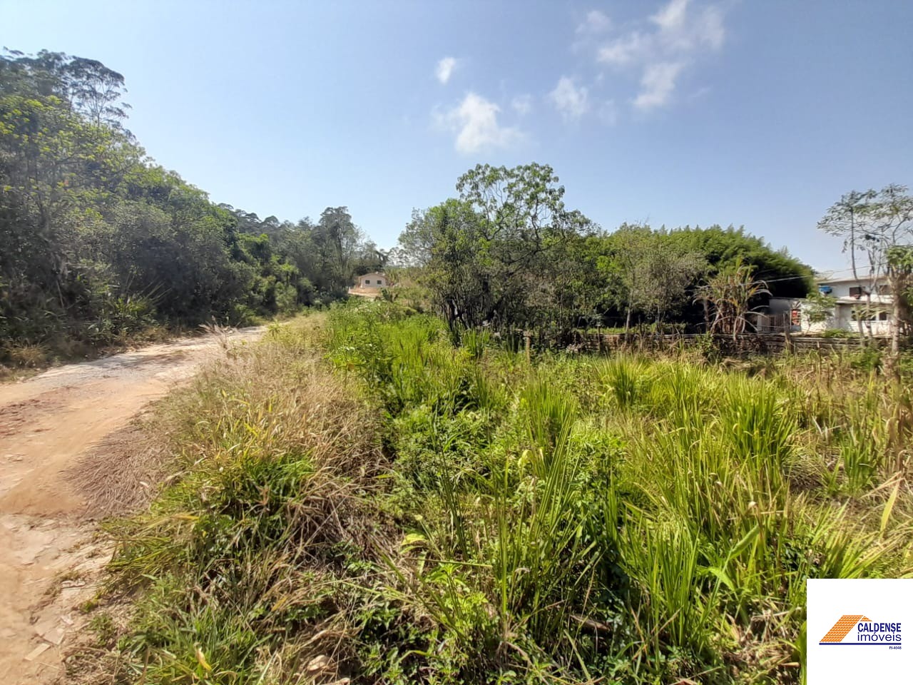 Terreno, 2 hectares - Foto 12
