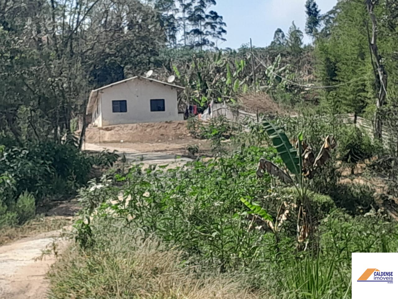 Terreno, 2 hectares - Foto 13