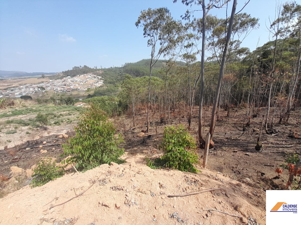 Terreno, 2 hectares - Foto 3