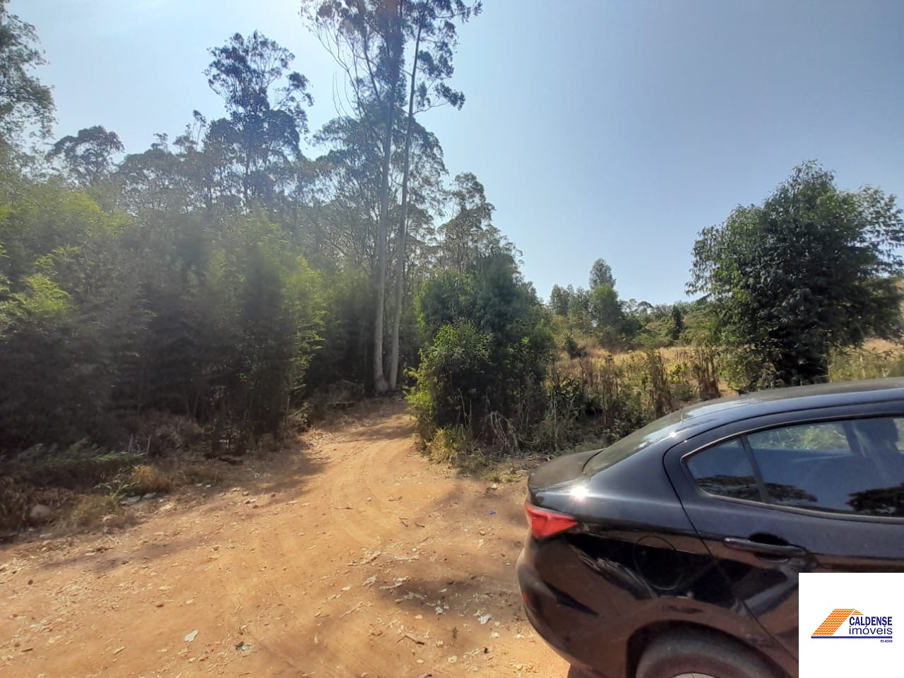 Terreno, 2 hectares - Foto 11