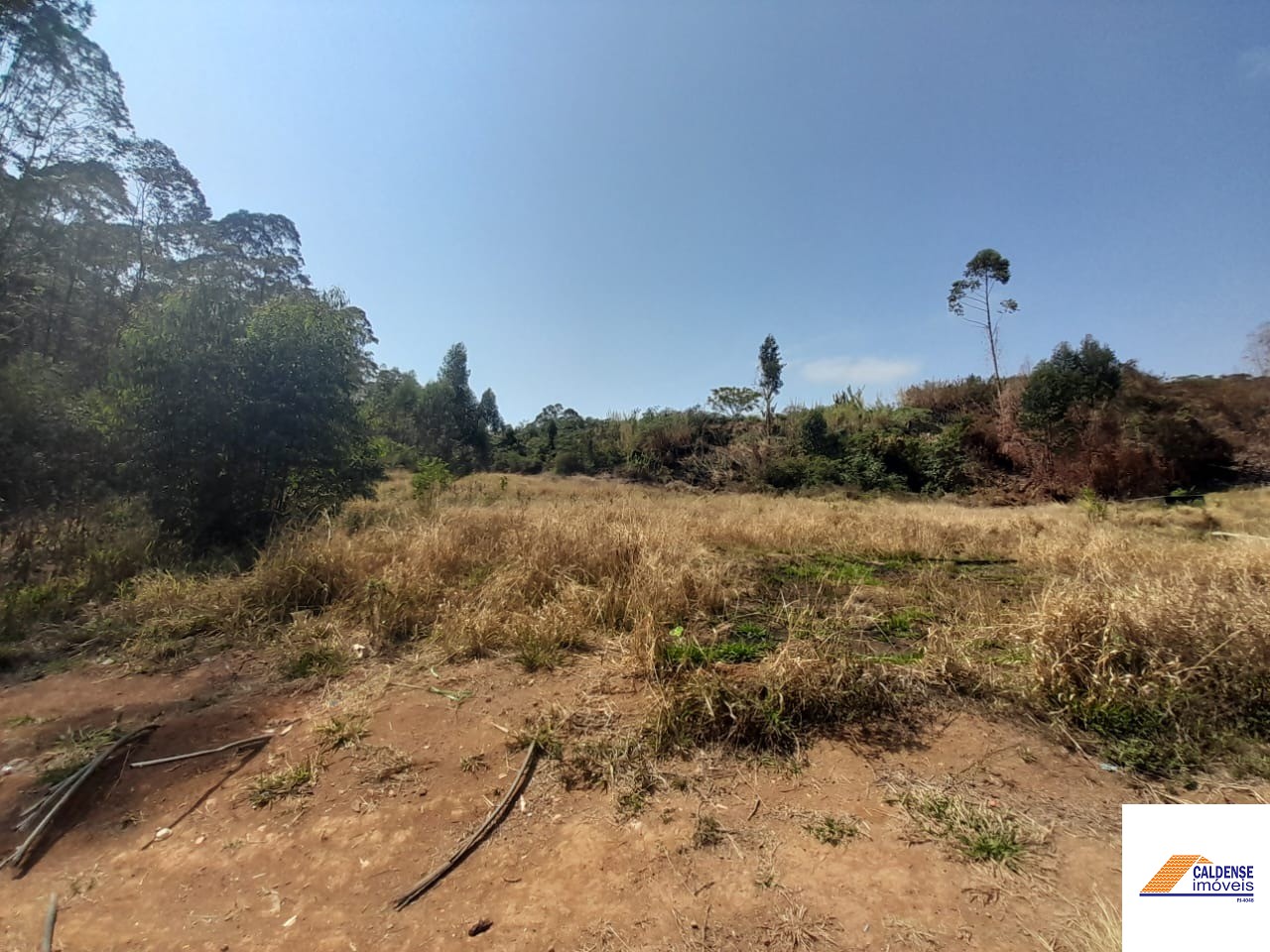 Terreno, 2 hectares - Foto 9