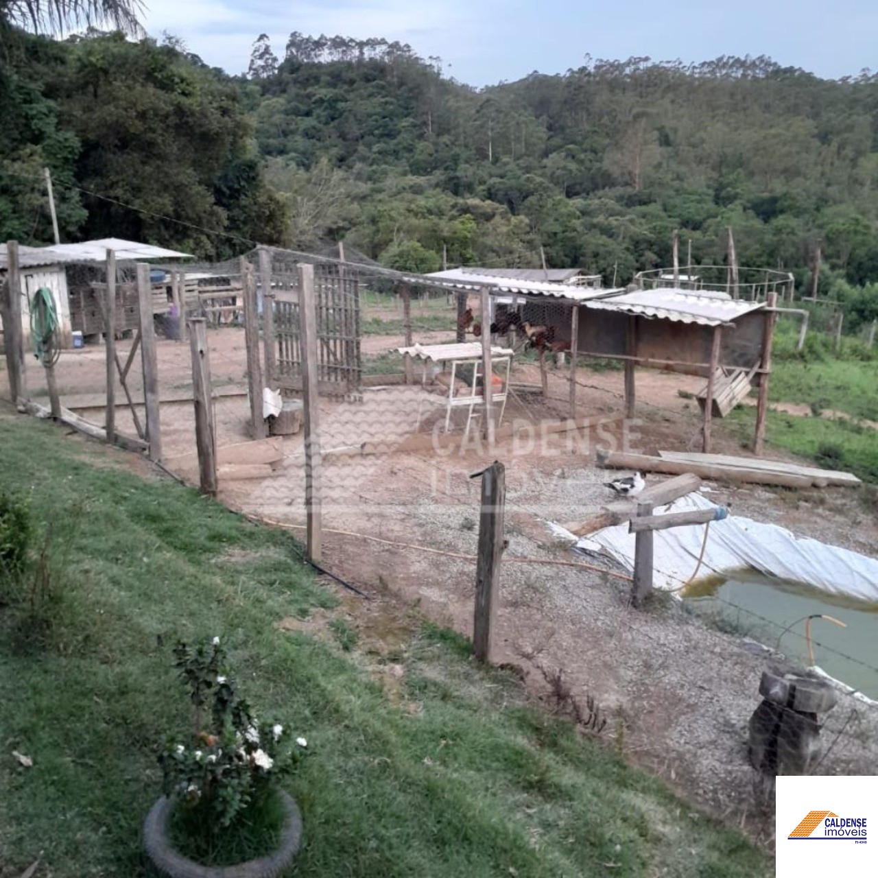 Sítio, 2 quartos - Foto 4