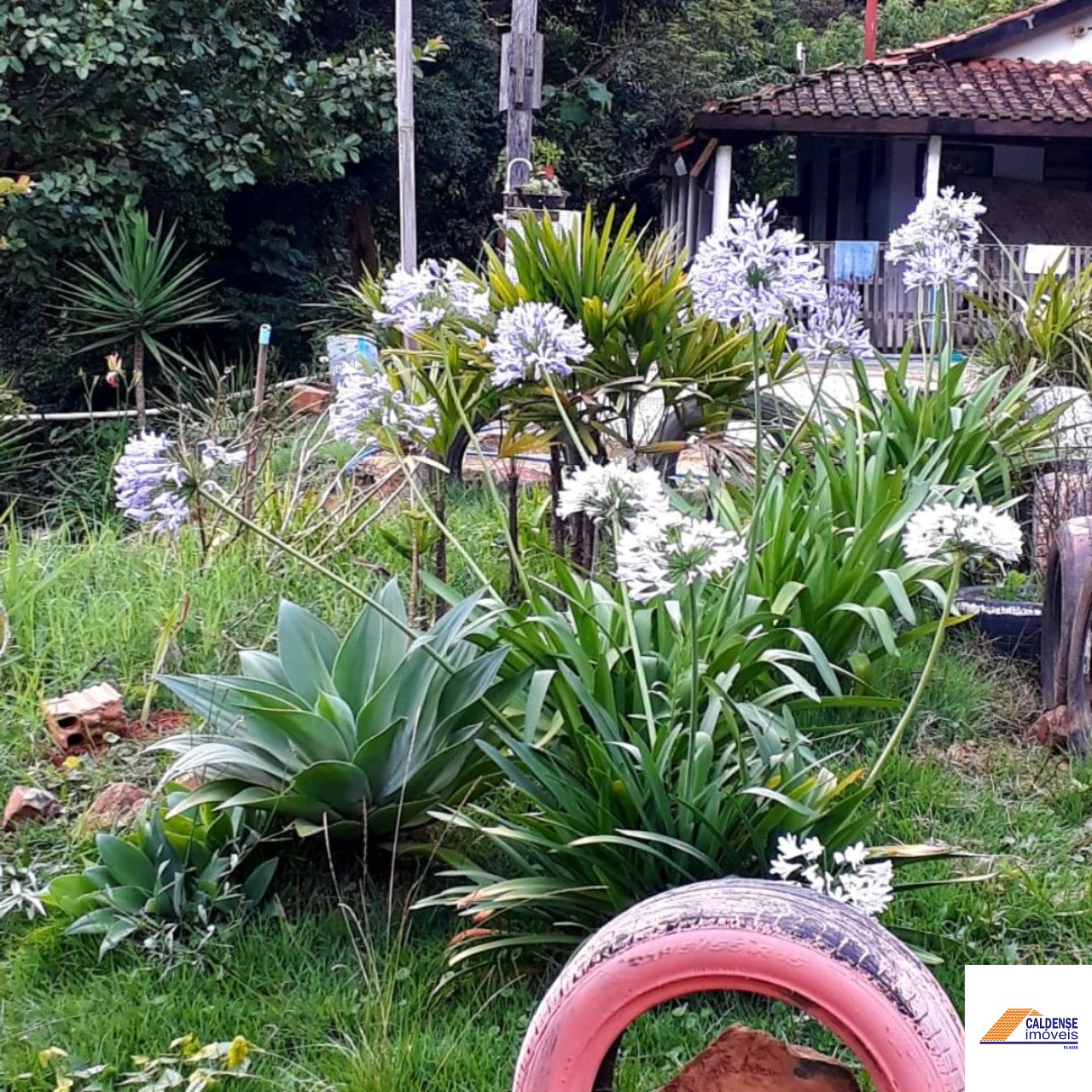 Chácara, 2 quartos - Foto 17