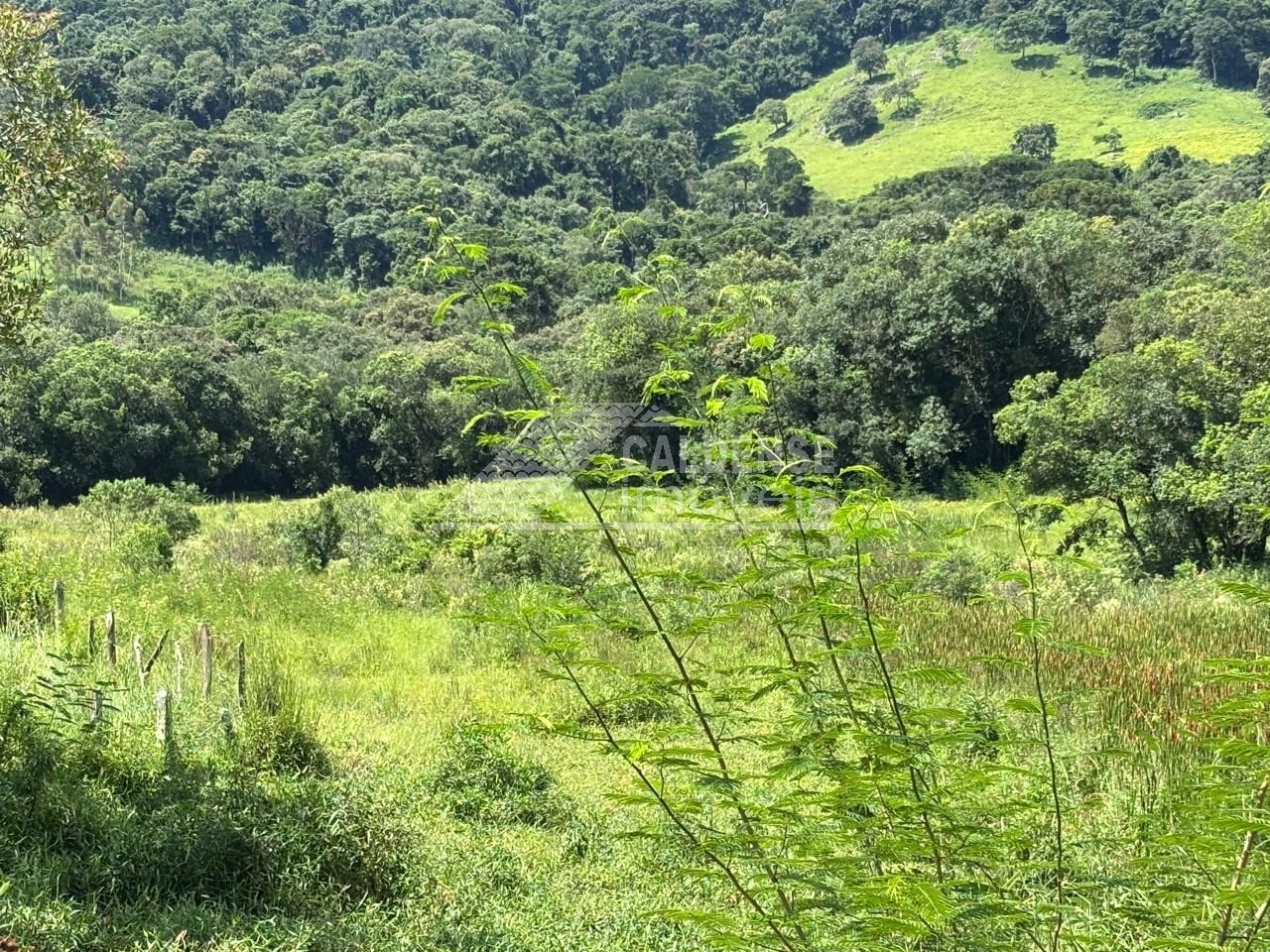 Sítio - Foto 5