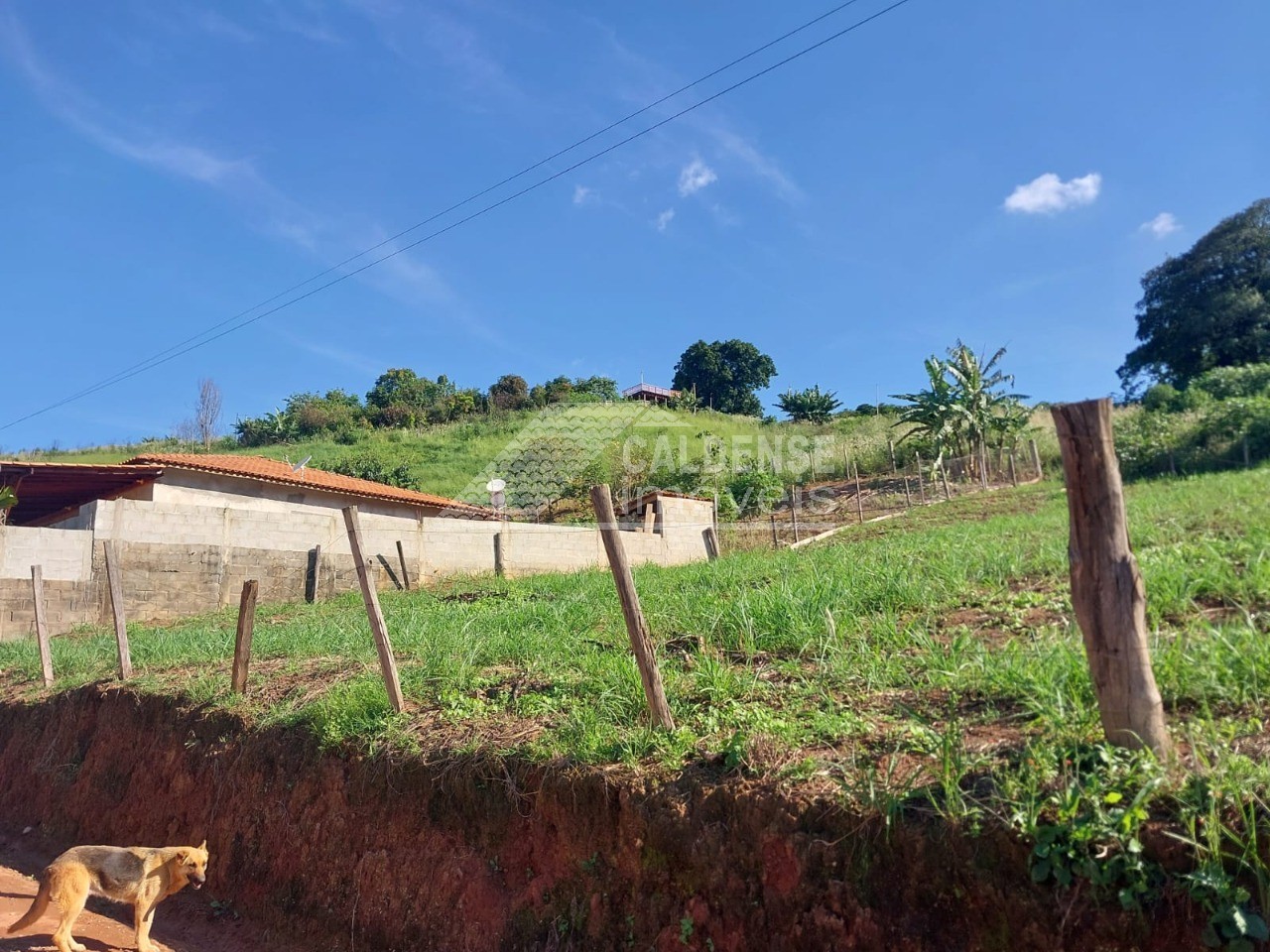 Terreno, 1500 m² - Foto 6