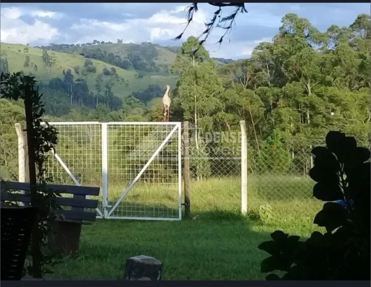 Chácara, 4 quartos - Foto 7
