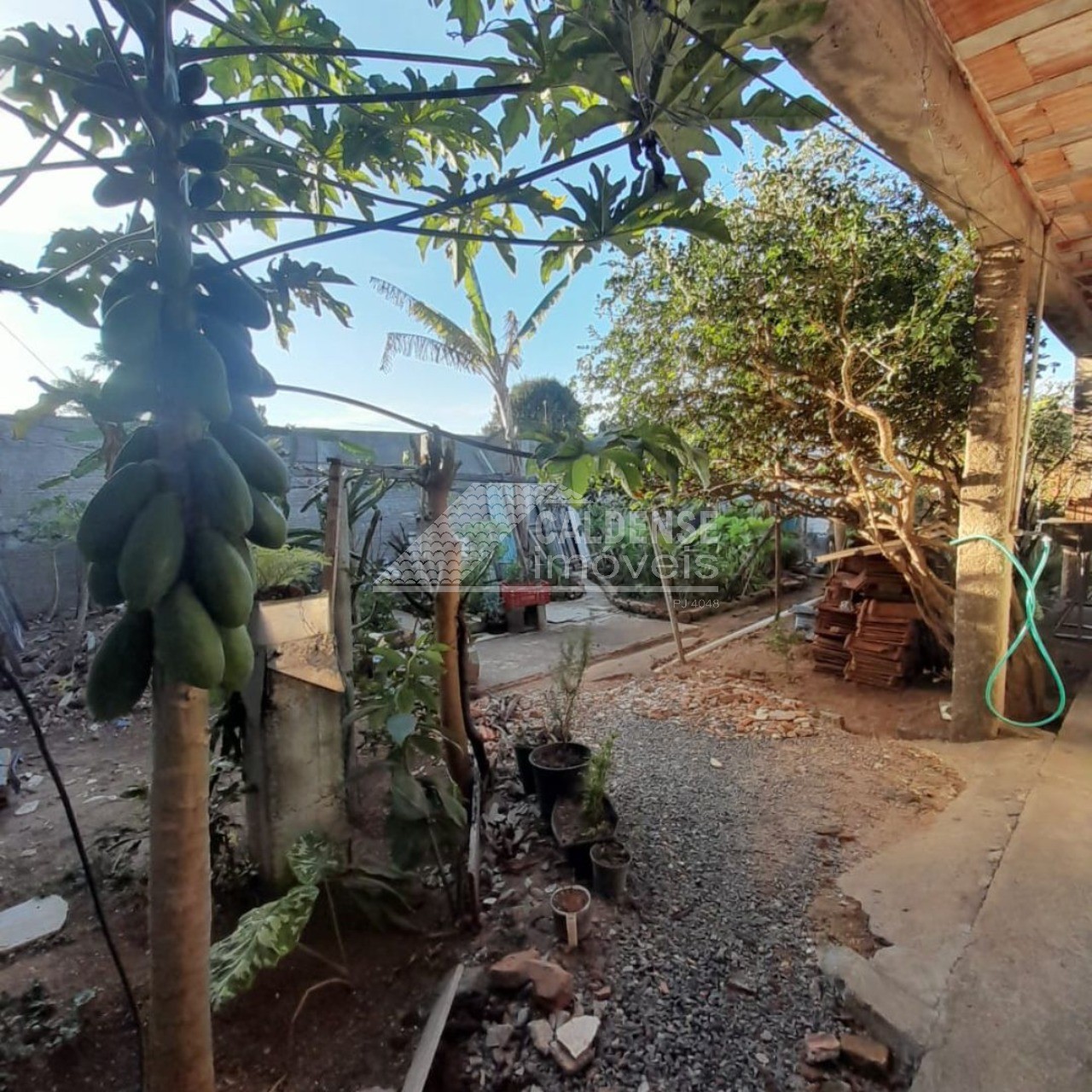 Casa, 3 quartos - Foto 5