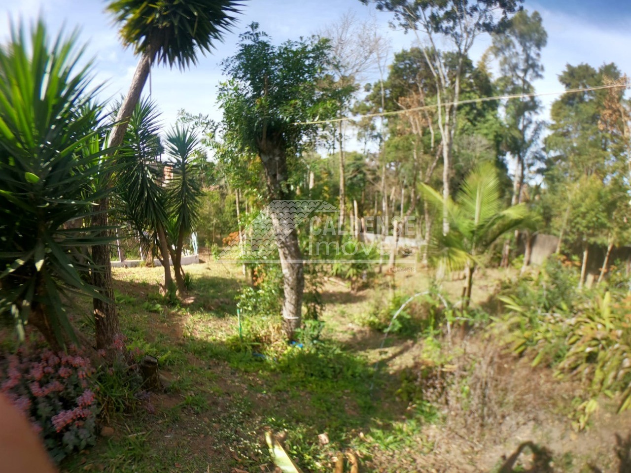 Chácara, 4 quartos - Foto 22