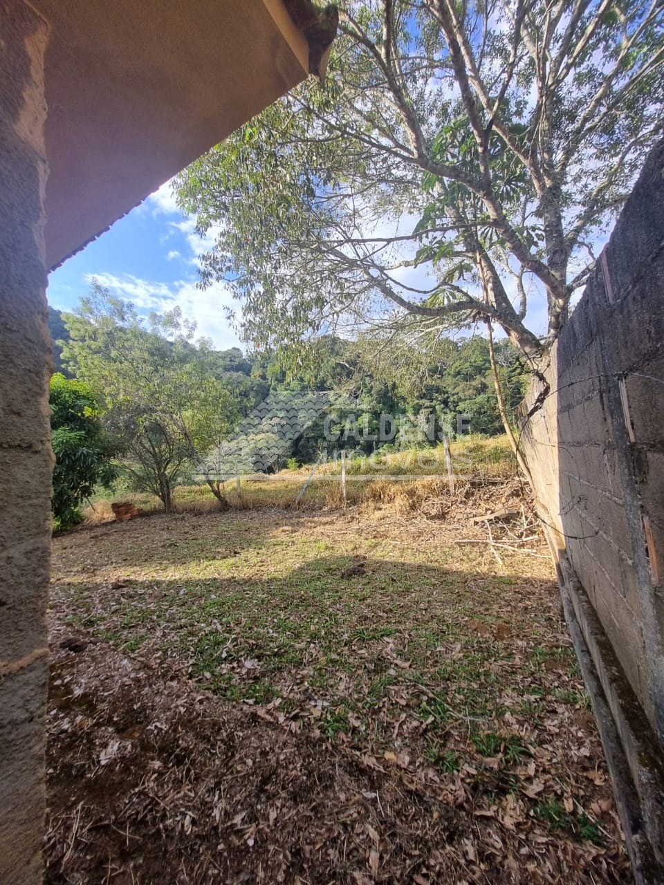 Chácara, 3 quartos - Foto 6