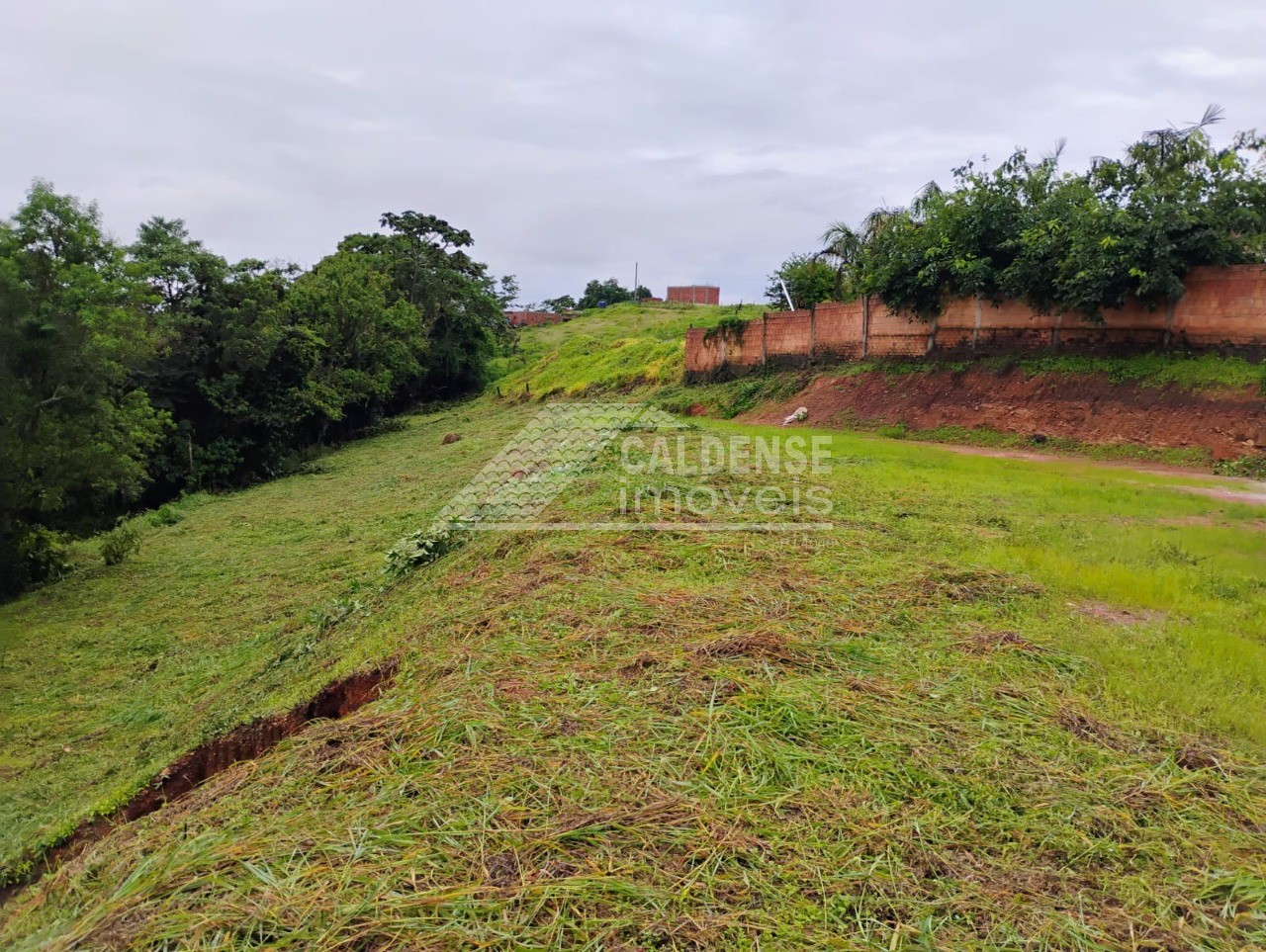 Terreno - Foto 2