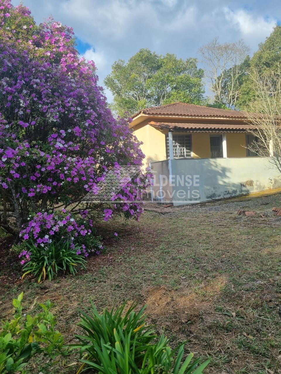 Chácara, 3 quartos - Foto 2