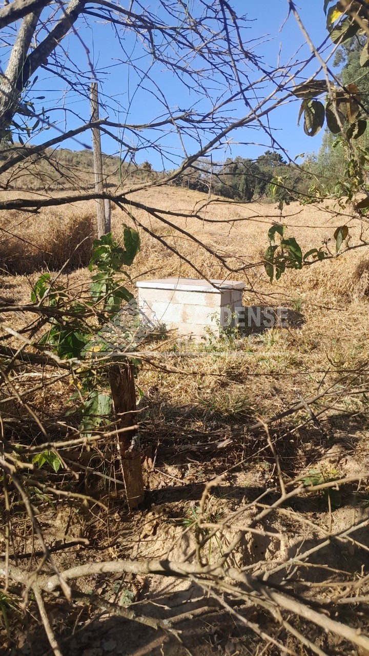 Chácara, 3 quartos - Foto 2