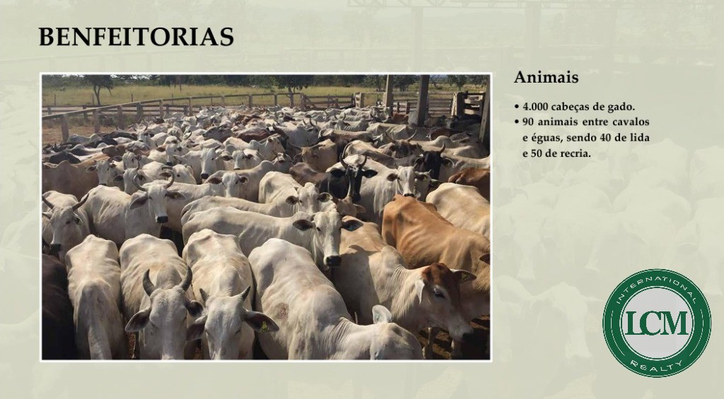 Fazenda à venda em tocantins