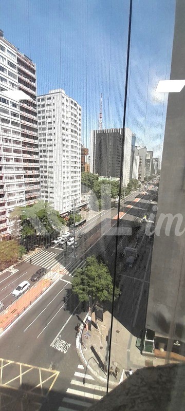 Sala-Conjunto, 302 m² - Foto 8