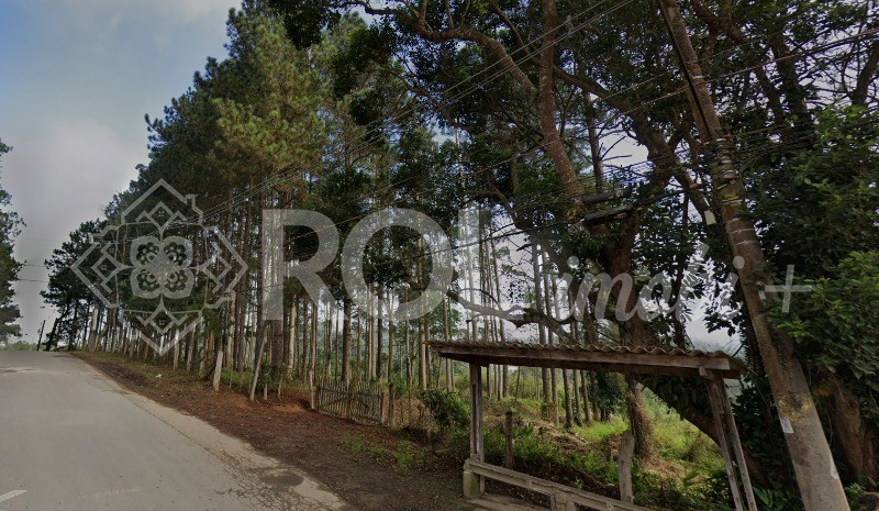 Terreno, 5 hectares - Foto 3