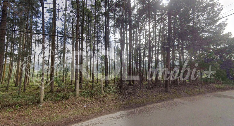 Terreno, 5 hectares - Foto 1