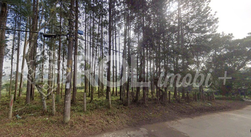 Terreno, 5 hectares - Foto 4