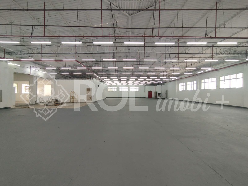Depósito-Galpão, 5198 m² - Foto 13