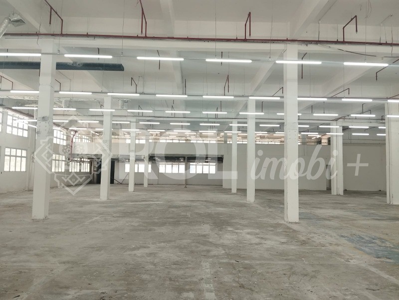Depósito-Galpão, 5198 m² - Foto 10