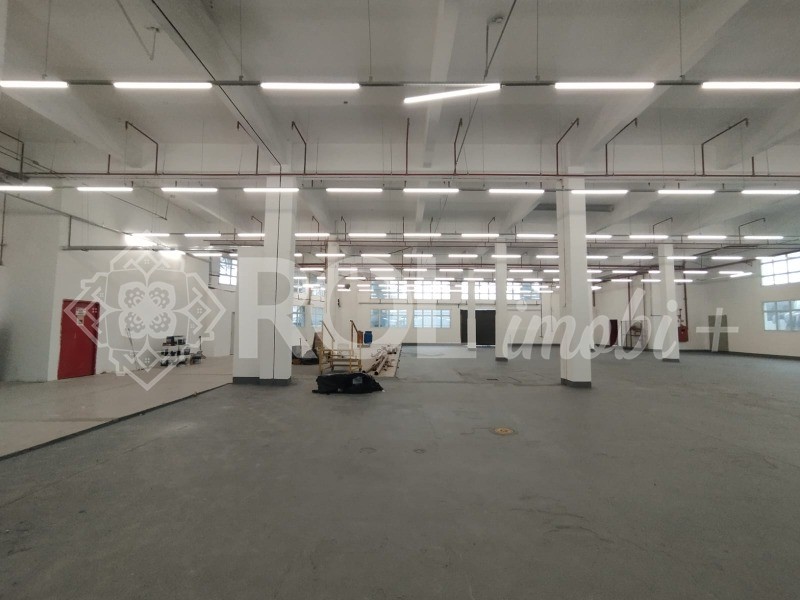Depósito-Galpão, 5198 m² - Foto 3