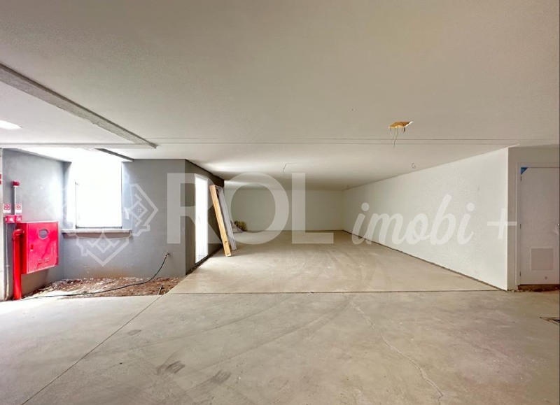 Casa, 4 quartos, 450 m² - Foto 30