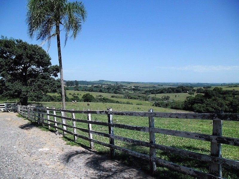 Fazenda, 121 hectares - Foto 6