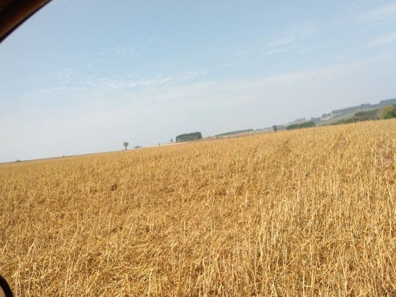 Fazenda, 125 m² - Foto 10