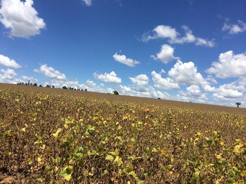Fazenda, 125 m² - Foto 7