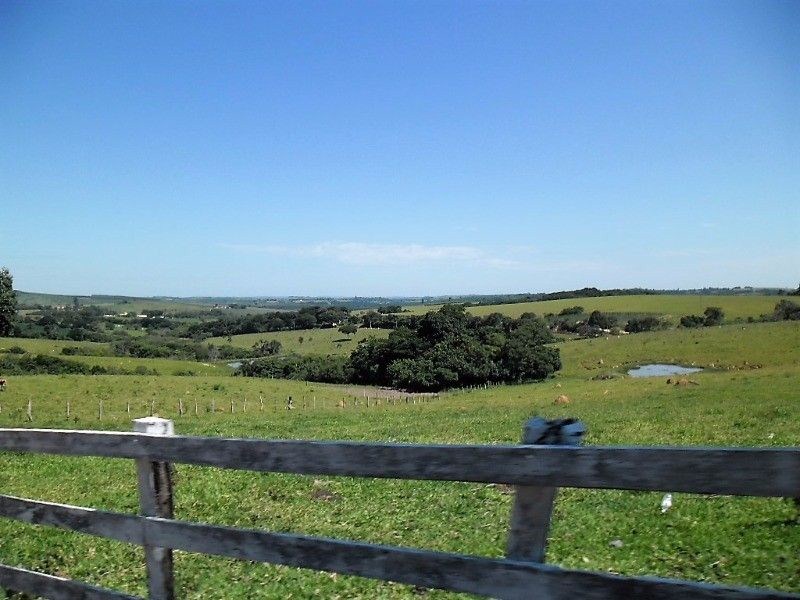 Fazenda, 121 hectares - Foto 10