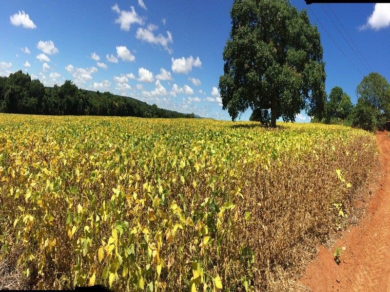 Fazenda, 125 m² - Foto 12